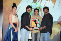 Power Movie Triple Platinum Disc Funtion Photos